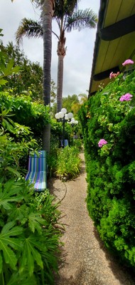 Carmel Villa Scene